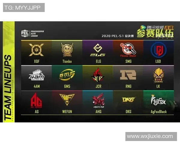 esports数据周敏专访揭示和平精英发展历程与未来展望的深度解析